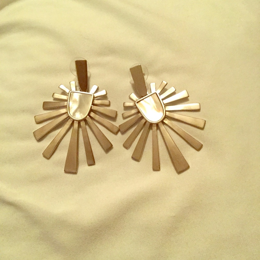 Cambrian Statement Earrings in Silver
